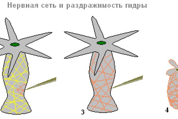 Омг ссылка т