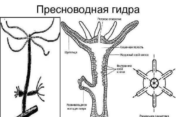 Омги